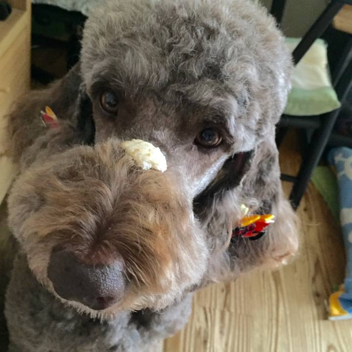 3cffd660 5f69 44b1 aa57 bb90bc546307