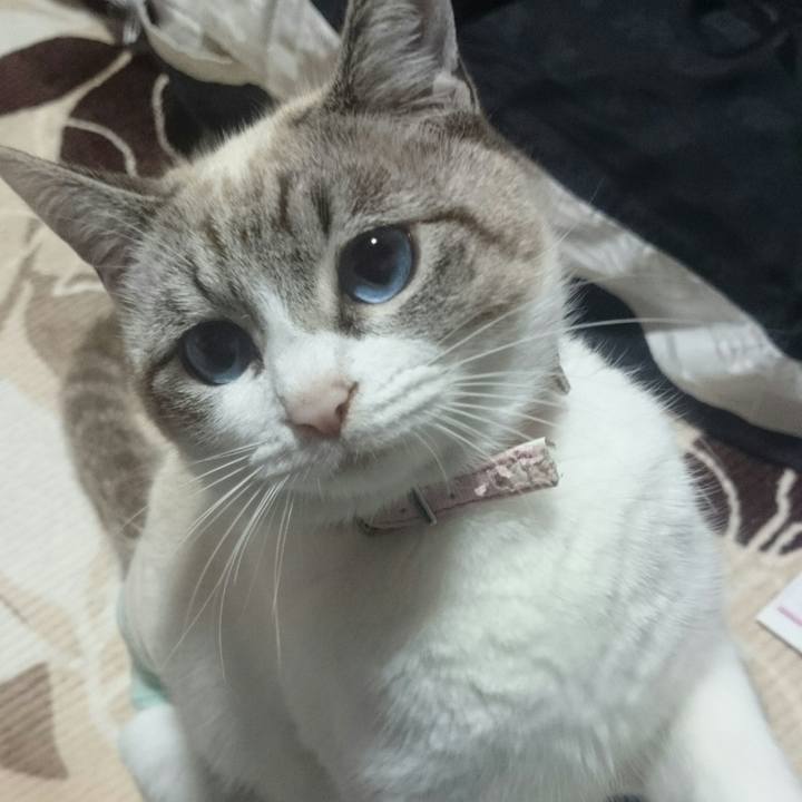 3d0008e3 5e81 41a9 b8f9 13cbbc8b6675