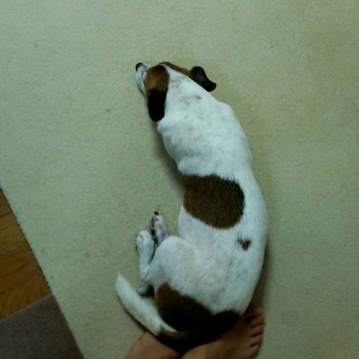 3d006f54 80b3 4e35 859f 06e4b3e10f62