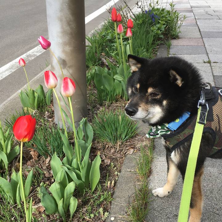 3d014c72 1060 47ef a3ea 5d595587f4b2