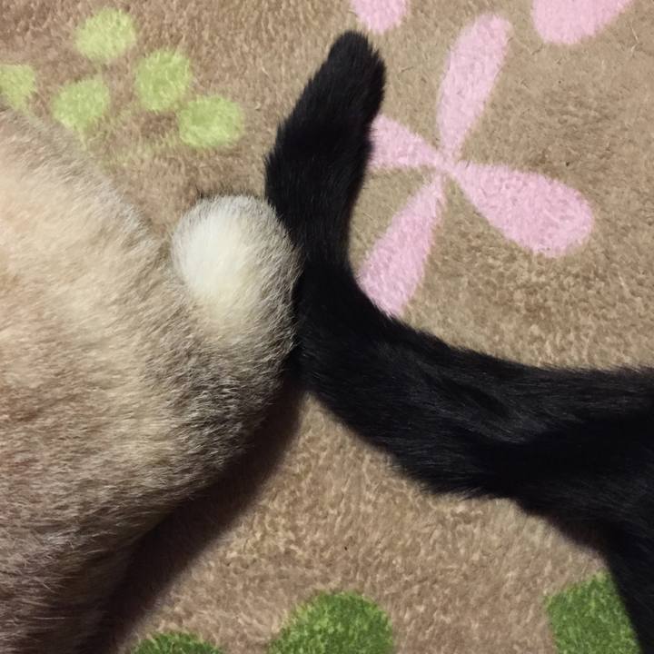 3d02357e bd0e 44d2 8ad8 fe63a627d0c6