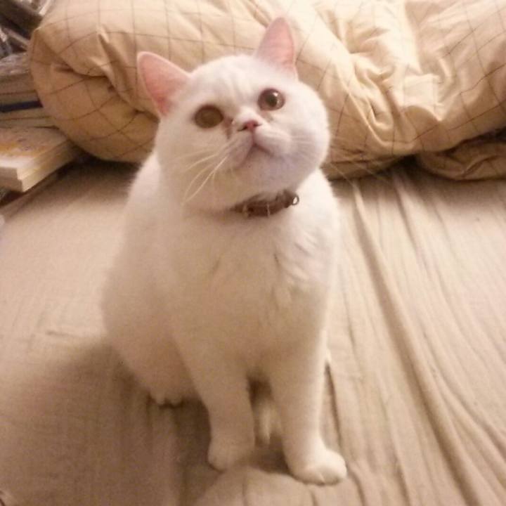 3d02f41c 95c5 4f68 aa1a c7e32c6ebe01