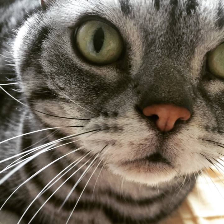 3d0388a4 09d0 4c61 bdf4 d25191e1432b