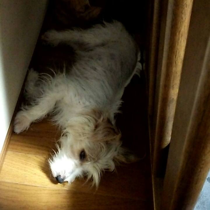 3d03a55b b6ab 417e af14 ef4be59858b7