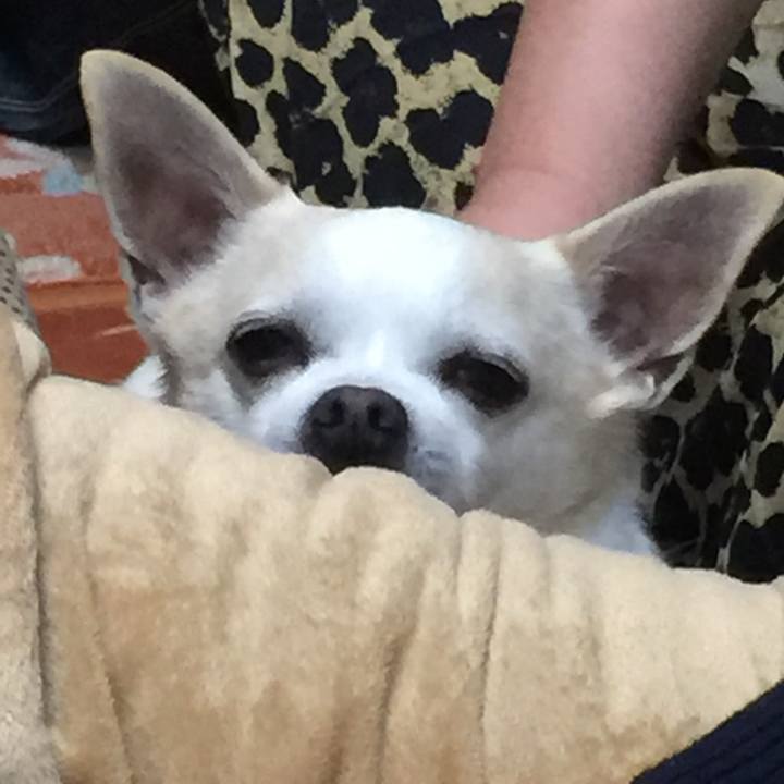 3d043a36 3e88 450f be41 1978193dc5da