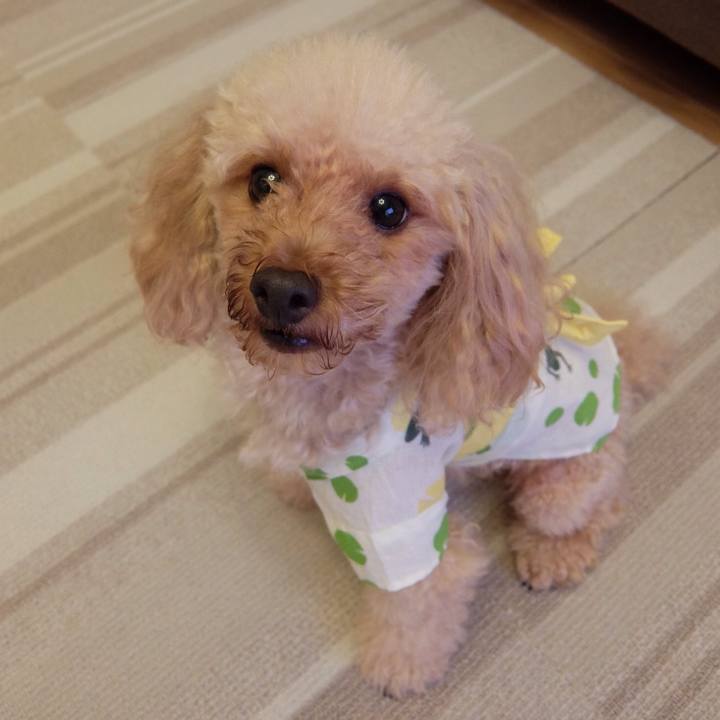 3d04b056 0fd6 446f b808 9ee566284c90