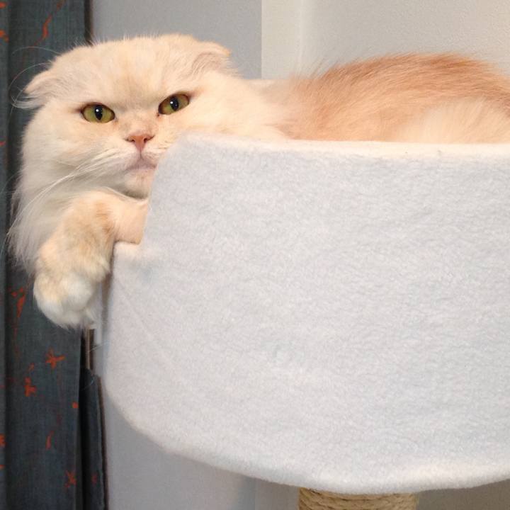 3d04d827 7d21 4073 b075 b8b99d2b3a15