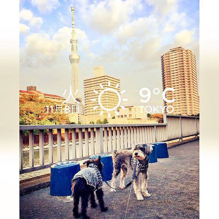 3d04df63 21a5 4ccd ad44 6e91822d77b2