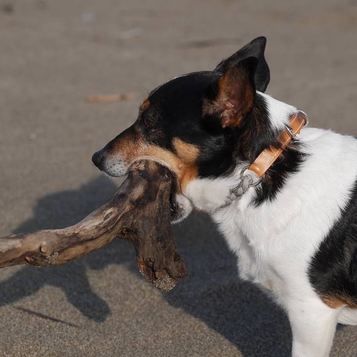 3d04fb75 b677 4af3 bdd7 2eeb295583ba