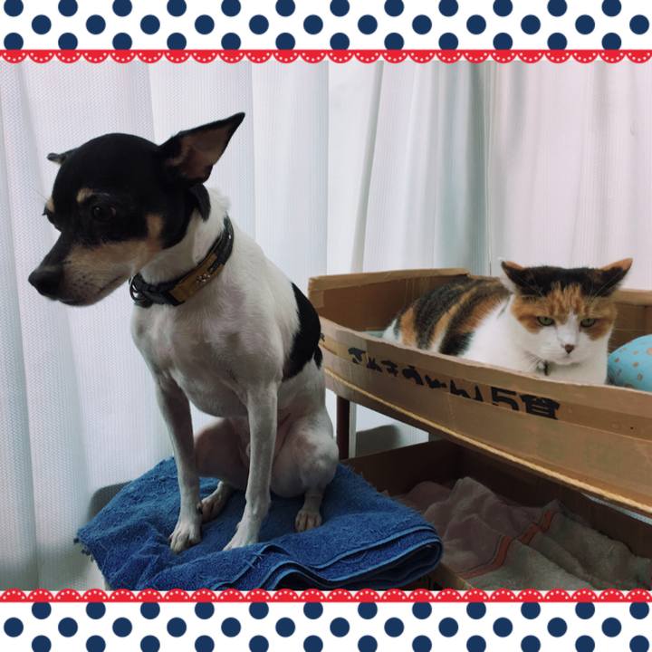 3d056ccf b6ea 4691 8894 61eab76a9035