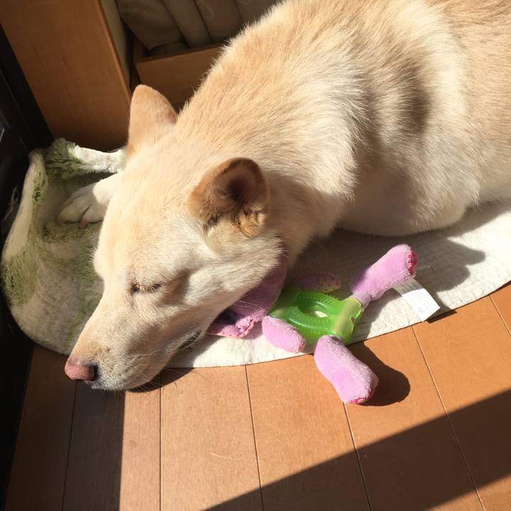 3d05e429 fc86 4586 8489 9d267db79cce