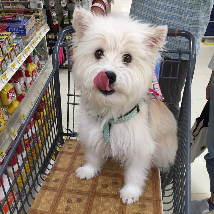 3d0628f1 52dc 462c 91f8 85581b6b03aa