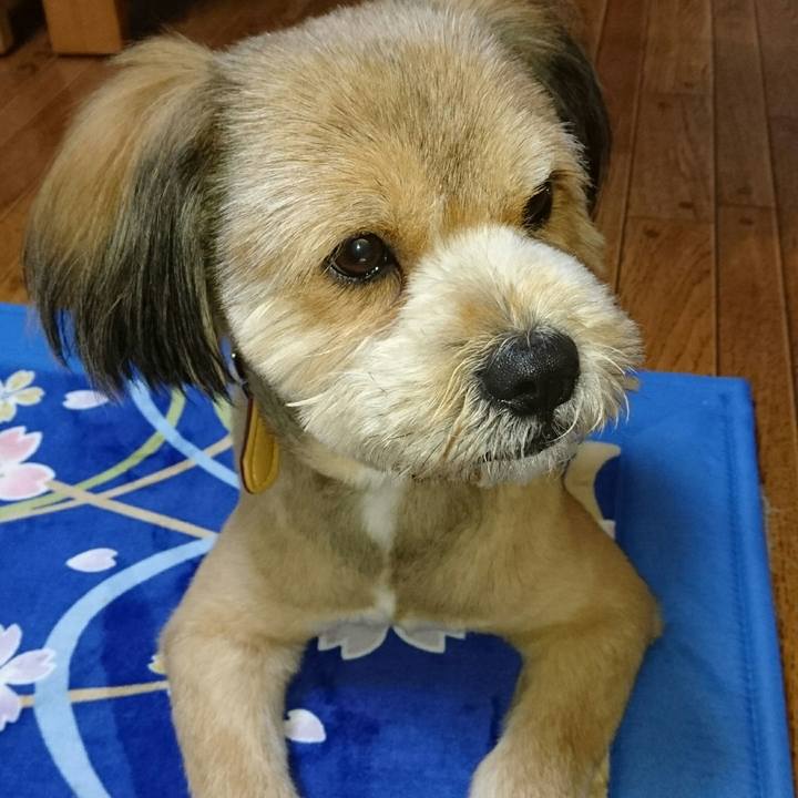 3d0643d6 b806 4529 8e60 e4eed0714040