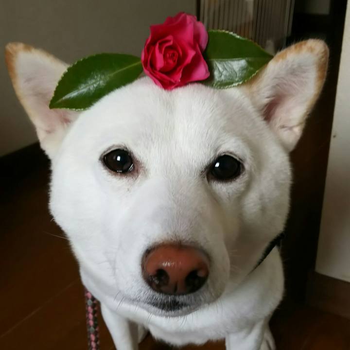 3d0673d2 babf 4b49 ab5f 1d713302ae33