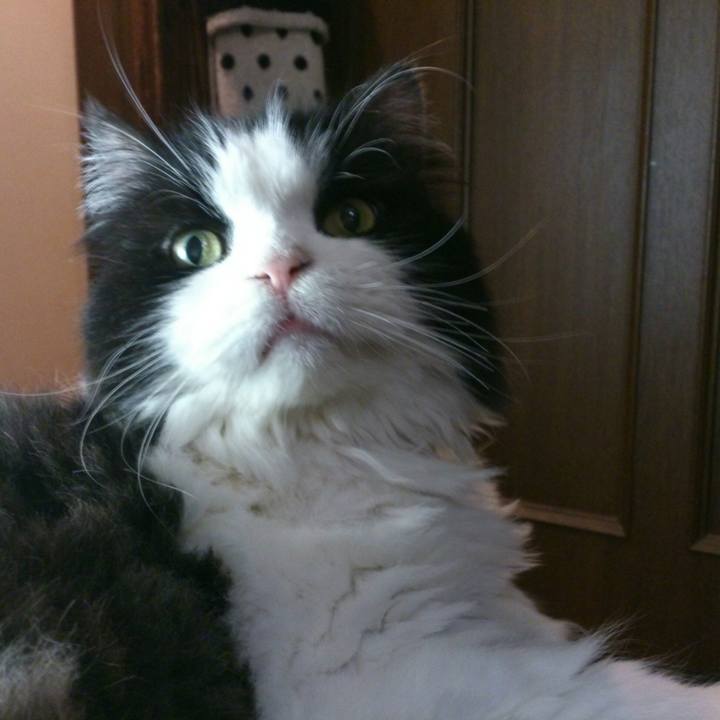 3d073536 7306 44de 9387 368493e724e3