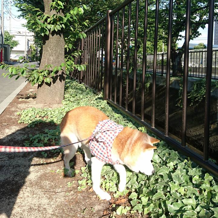 3d075e6c d405 49e2 abf0 2fccdd5d52e7