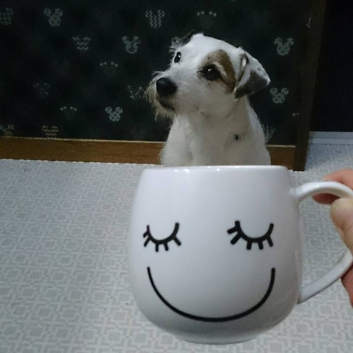 3d076992 10a1 4a81 bec9 3ab3ec9ca5c2