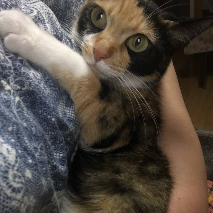 3d07e52d 76d3 42f0 8926 64ab71be9fdd