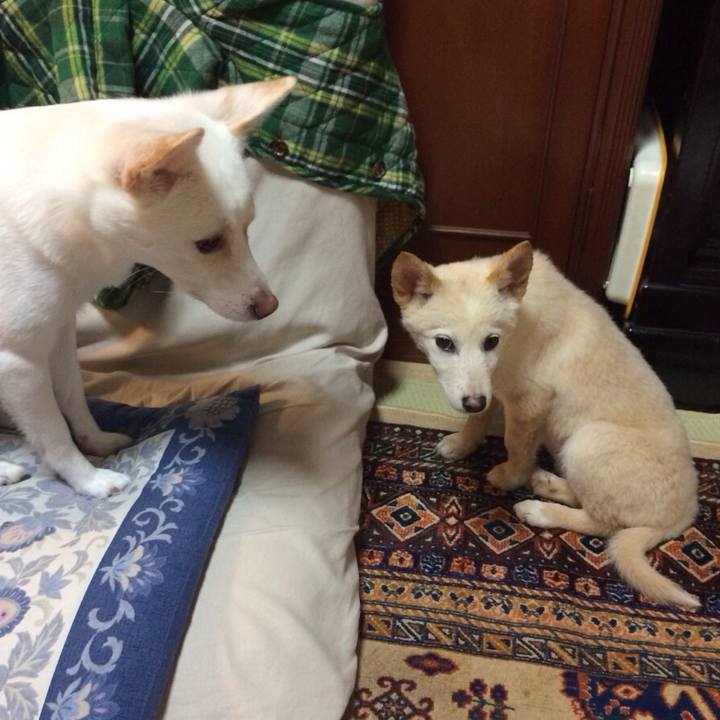 3d0806b4 a307 42af a40a 622034b2255c