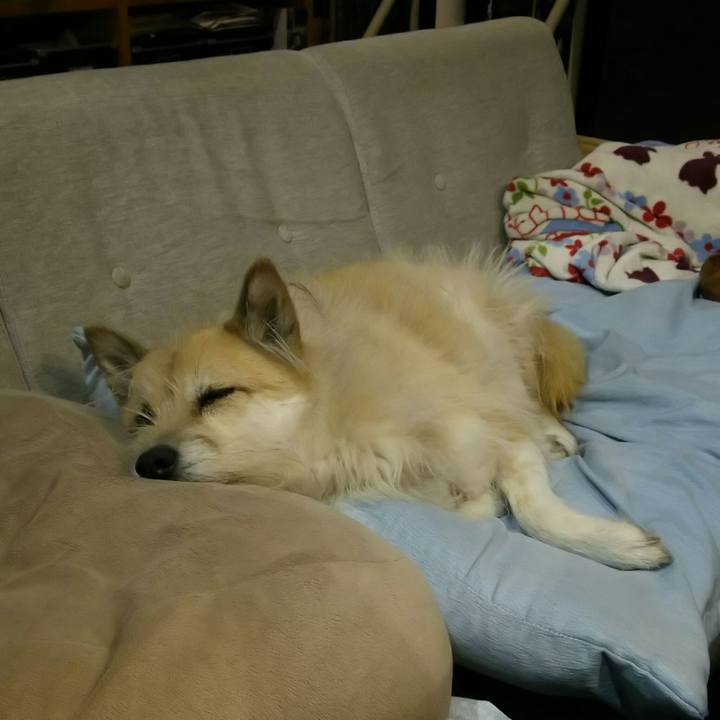 3d087be3 de65 4f06 a701 e06d5d5a083a