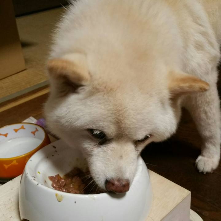 3d08ccdf c7f8 47b4 a93c d5bcd597b21f