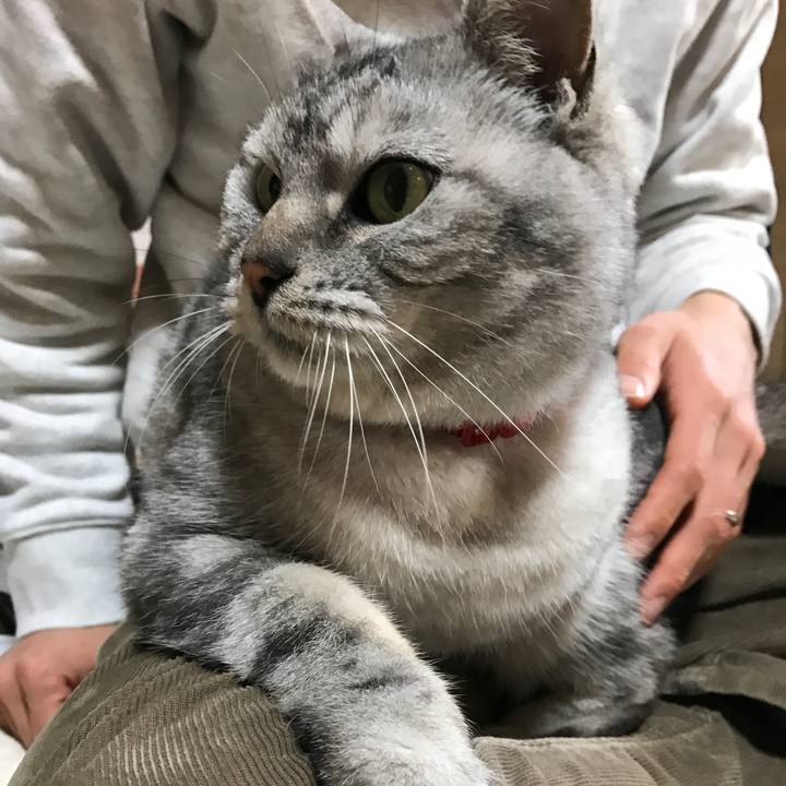 3d09b614 3ac2 40aa 8e72 f1fb0953a079