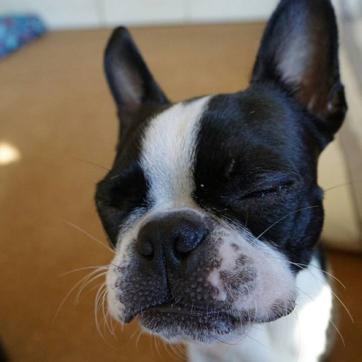 3d0a31e3 3018 442a 88e7 7a8ddec15d03