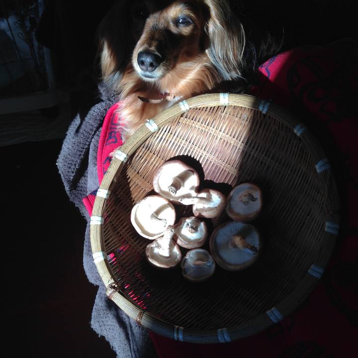 3d0a7034 1d60 46c9 b91c 6cde8277029a