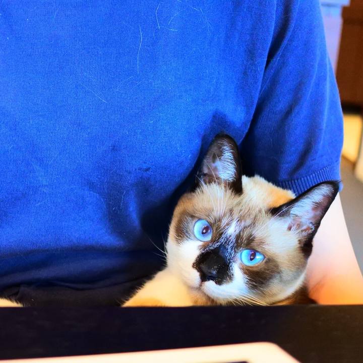 3d0ab3fe 3231 489e b95a 9d7c2c588d18