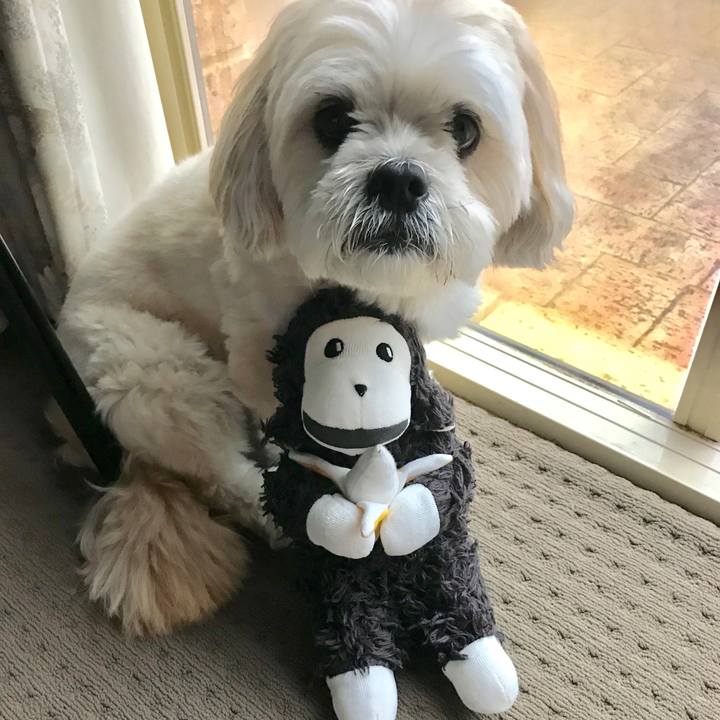 3d0bf748 a782 484b 9c49 9eff9fe09ccc