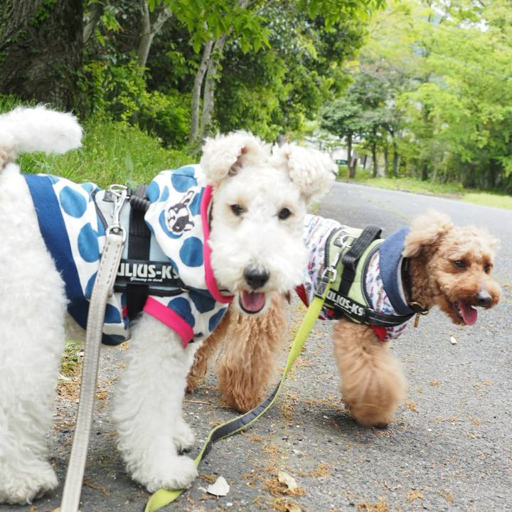 3d0c1ffb a8b9 4610 81ac 57ce7ec98ff2