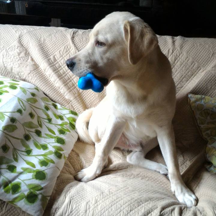 3d0c414d 2459 4dda 917b 4fb10e8959e6