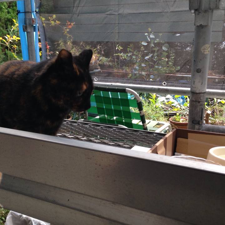 3d0c5bf3 4a63 476c b1f4 d72c163ea916