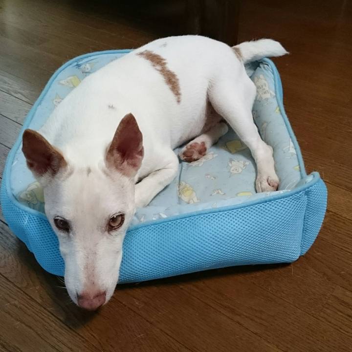 3d0c6aef 39f0 4f20 9123 7c7f8ccffd2a