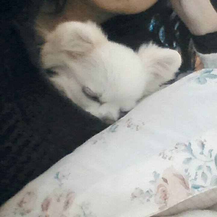 3d0c776d b018 4fe4 af00 2907469f1210