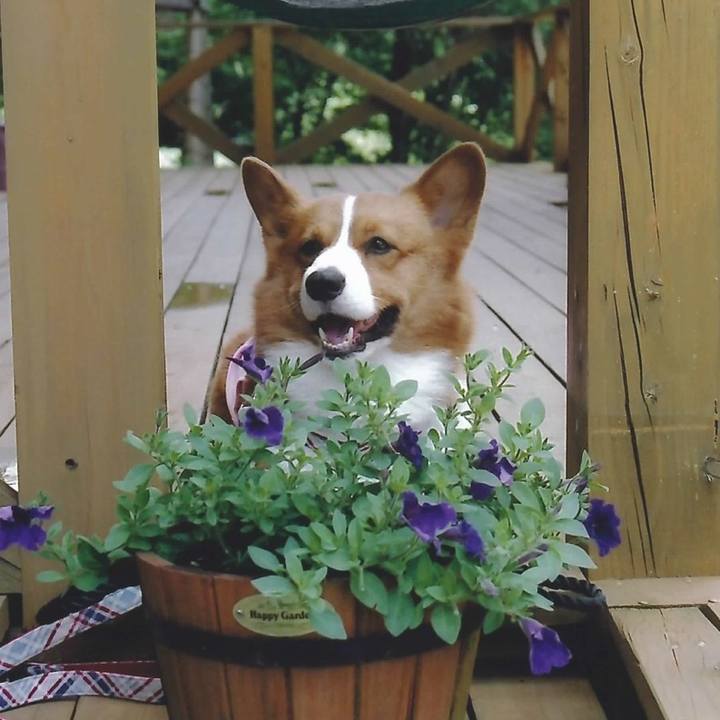 3d0ccbd2 34a0 4cf5 b3e9 e789c3e3d50a