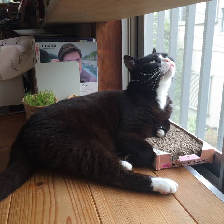 3d0debbf bc6a 4c9a 8baa 8466ba90bf42