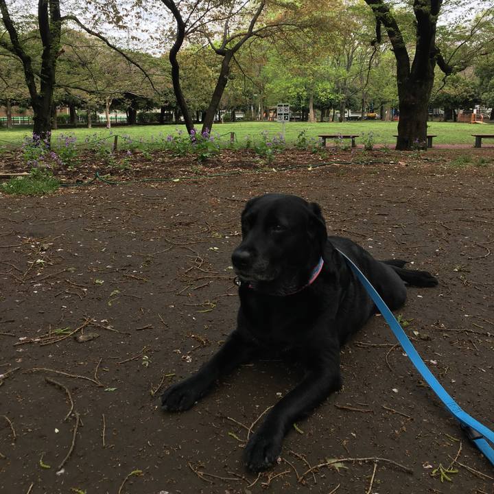 3d0e08f2 41f7 4a3e a7a6 ddea41276f7f