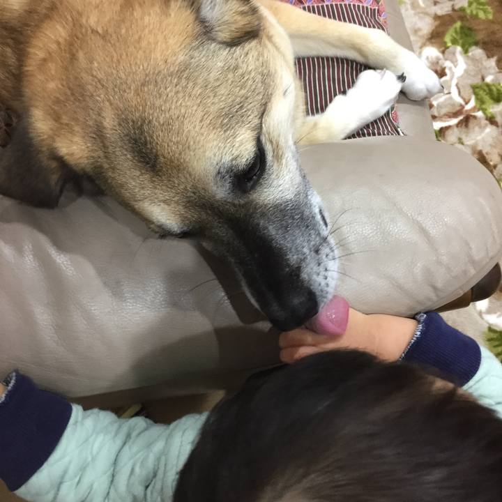 3d0eaea5 76e5 4c62 97cf c8f39c978966