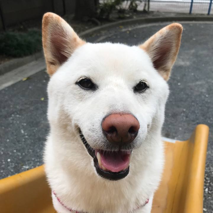 3d0ec0ed 02d8 4c12 a719 76e5e6837902