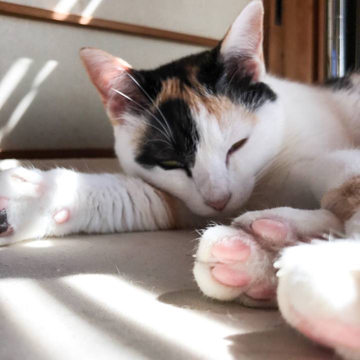 3d0efaf8 0e10 48f2 b3e4 e7c31f4c4232