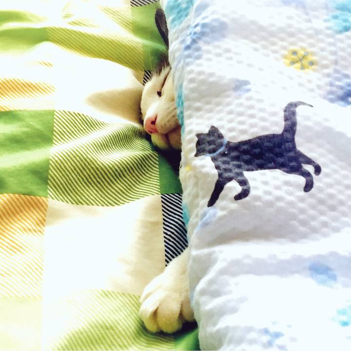 3d0f05c3 9eb8 4c78 b7ac e3fcd1b4d5ca