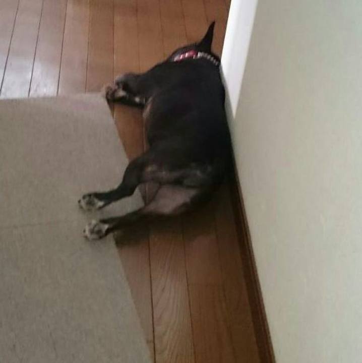 3d0f2911 944f 4417 b083 d013743e6329