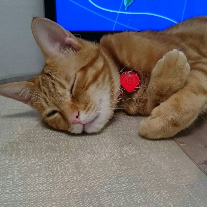 3d0f54ff 7c8c 48dc 81bd ba471306b1e5