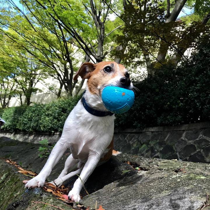 3d0fae5f 9df3 436e 920e a3659d6b5fd2