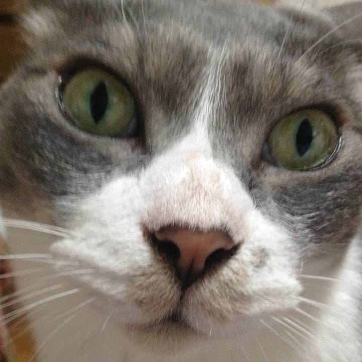 3d0ff2e1 50c4 4574 a3af b487d27d140e