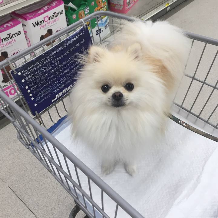 3d103add 8ae4 457d 9cb3 26b8b0d9b393