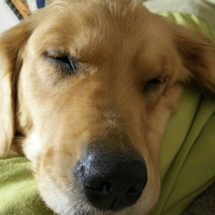 3d109219 6575 46be a76d 49bc5754dc62