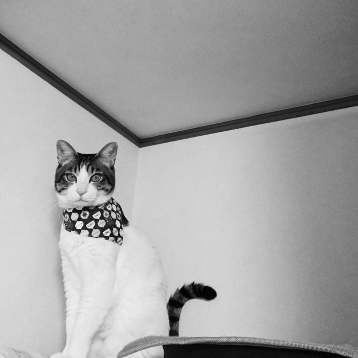 3d10c725 c192 41be 9c9f 126e992b4354