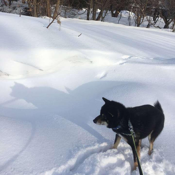 3d110478 4ed0 42a5 b00a a3db026b09a3